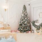 Lily’s Christmas Dream