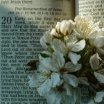 An Easter to Remember